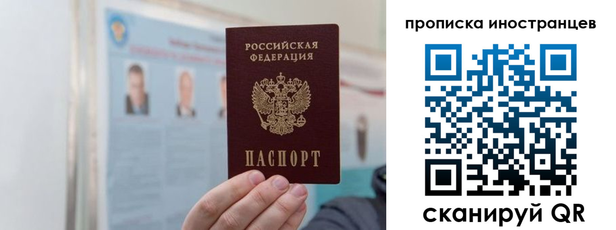 прописка паспорт в Волосово